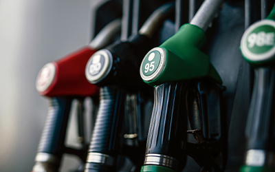 Annamarie Van Tonder